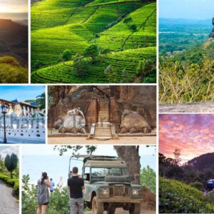 Cultural Triangle Tour in Sri Lanka